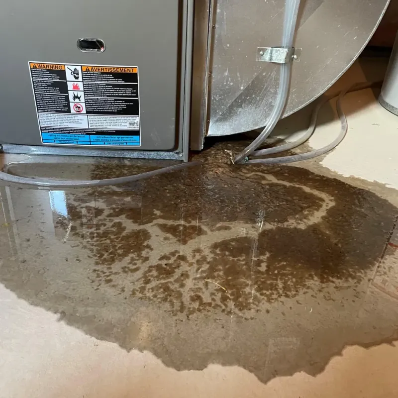 Appliance Leak Cleanup in Esperance, WA